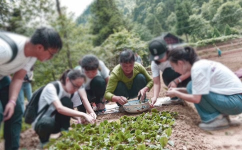 暑假三下鄉心得體會范文