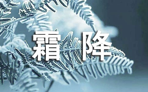 ˪���ֳ����ز�5ƪ[��Ʒ]