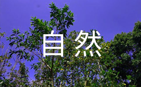 淺談《文心雕龍》的自然審美理想